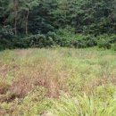 땅과건물공인중개사사무소 이미지