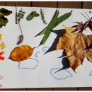 굴렁쇠 창원15기역사생태체험단- 대구수목원에서 가을과 놀다 이미지