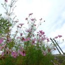 영월파크골프장 이미지