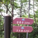 절터골1 | [전북 남원] 삼봉산(1,187m)---완료
