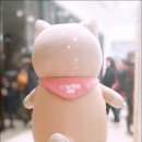 늘예뻐 이미지