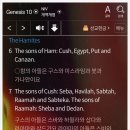 하윌라(Havilah) 이미지