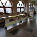 신사동성당