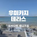 삼성생명 건물 앞 교통섬 | 오키나와 나하공항에서 세나가섬 우미카지 테라스 버스 정보