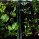 한신아파트 앞 이미지