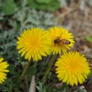 방아공원 이미지