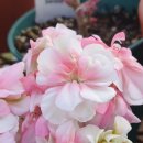 버거웍스 이미지