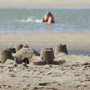 연포해수욕장(송림) 이미지