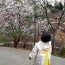 팬션민박 이미지