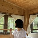 평택 트리하우스 상수리 후기 (예약방법, 가격)