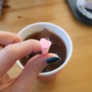 1박2일 전주여행 / 두리반 / 그날의 온도 / 경기전 옆 사진관 / 옛촌막걸리 / RGB게스트하우스 / 카페 차경
