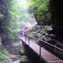 경동대 가는길 이미지