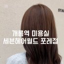 세븐헤어월드 포레점