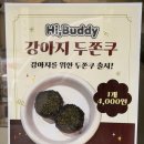파티앤 캣 | 전주 강아지간식 하이버디 전주 수제강아지간식 전주강아지케이크
