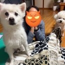 유라트레이딩