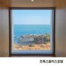 플럭스 | 경주 양남 감성숙소 프룩스플럭스호텔 스탠다드룸 내돈내산 후기