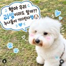 📣 여기도 쌀짝 부탁드립니다 🙏 이미지