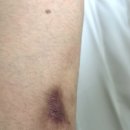 제주푸른병원 이미지