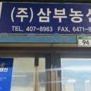 모범청과