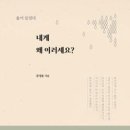 헤롤드장 티스토리