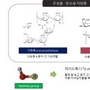 에코케미칼 티스토리