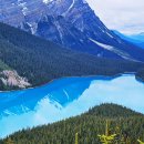 캐나다 록키 에메랄드를 품은 『Peyto Lake (피토 호수)』 & photo by 체칠리아 이미지