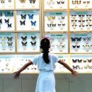 호동목장 이미지