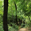 安國(안국)공인중개사사무소 | 서울둘레길 5코스(사당역~시흥2동/금천구청역)