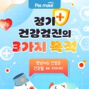 D&C동물병원 이미지