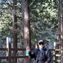 청룡예전로 이미지