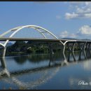 코스모스공원 이미지