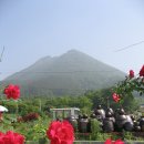 삼호농장 이미지