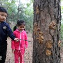 마곡6 마곡숲어린이집 이미지