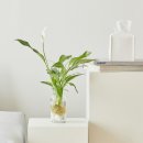 공기좋은집 이미지