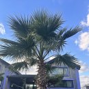 제주서쪽감성숙소 제주애물들다 이미지