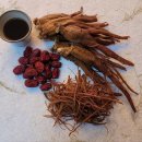 홍성인삼총판 이미지