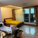 퍼니멍멍 갤럭시하우스점 이미지