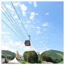 대인카프라자 이미지