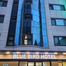 블루버드 호텔 이미지