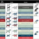 다나은 동물병원 이미지