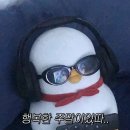 영구오락실 이미지
