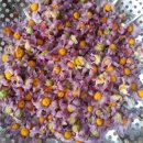 홍천산골놀이터 이미지