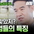 유키즈 이미지