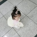 다이소주안시민 이미지