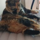 우리그루밍 이미지