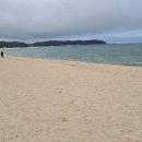 평해사구습지 이미지