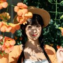대조경로당 | [대구 능소화 스팟] 숨은 감성 가득한 대구 파란대문집 능소화 🧡 여름 골목길 데이트 코스 추천!