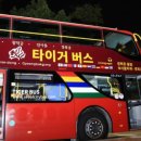 달빛 요가(야간) 이미지