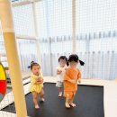 노리숲프라이빗키즈파티룸
