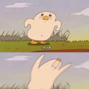 광덕안정한방병원 | 강남역 광덕안정한방병원: 교통사고 입원 후기